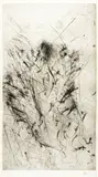Rolf Iseli, Nagelkopf, 1981, Etching, reworked with the drypoint