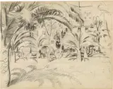 Otto von Wätjen, Im Palmengarten, Around 1915, Pencil drawing