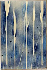 Yves Klein, Cosmogonie sans titre (COS 20), 1960, Pure pigment and binder on paper, on canvas (print of reed)