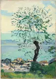 Ferdinand Hodler, Weidenbaum am Genfersee, circa 1891, Oil on canvas