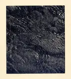 Franz Gertsch, Cima del Mar (Ausschnitt), 1991, Woodcut