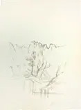 Paysage aux arbres et aux montagnes en Bregaglia by Alberto Giacometti, 1963, published 1964, Lithograph, sold Jun 2022