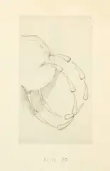 Défense d'y voir II by Markus Raetz, 1980, Offset printing, sold Jun 2022