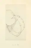 Markus Raetz, Défense d'y voir II, 1980, Offset printing