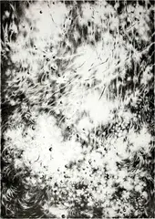 Julia Steiner, Circulation (pm), 2012, Lithography