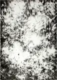 Julia Steiner, Circulation (pm), 2012, Lithography