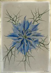 Niklaus Stoecklin, Blaue Kornblume, 1929, Tempera on plywood