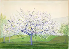 Albert Trachsel, Blühender Obstbaum, Around 1900, Watercolour over drawing in pencil