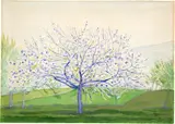 Albert Trachsel, Blühender Obstbaum, Around 1900, Watercolour over drawing in pencil