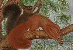 Adolf Dietrich, Zwei Eichhörnchen, 1933, Oil on cardboard