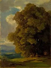 Robert Zünd, Baumstudie, Oil on canvas
