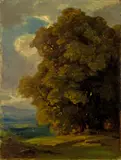 Robert Zünd, Baumstudie, Oil on canvas