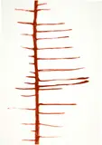 Silvia Bächli, Ohne Titel