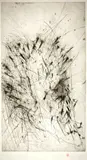 Rolf Iseli, Nagelkopf, 1981, Etching, reworked with the drypoint