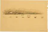 Markus Raetz, Fliegen / Landung
