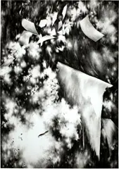 Julia Steiner, Single flap, 2011, Gouache on paper