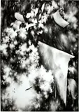 Julia Steiner, Single flap, 2011, Gouache on paper