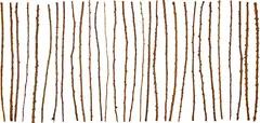 Herman de Vries, rosa canina, 1990, 30-piece object, consisting of rose stems