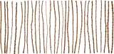 Herman de Vries, rosa canina