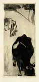 Cuno Amiet, Kühe in der Bretagne