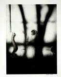 Graciela Iturbide, Quince años