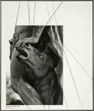 Vaclav Pozarek, Nymphenburg München 1968, Around 1998, Drawing in pencil on book page