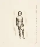 Otto Meyer-Amden, Stehender Knabenakt