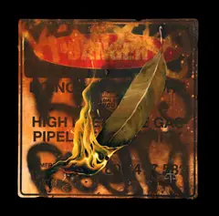 Cam Scale, 1.5 Degrees C, 2020, mixed media on found object