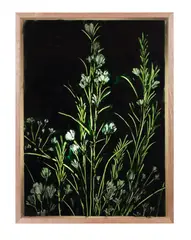 Twoone, Survivor, 2019, aerosol on acrylic sheet framed in Tasmanian Oak, with fluorescent light