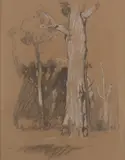 Hans Heysen, Study - Gums