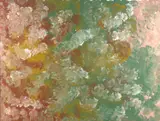 Wildflower Dreaming by Emily Kame Kngwarreye, 1995, acrylic on linen, sold Jun 2020