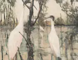 Clifton Pugh, First of the Swamp Birds