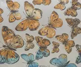 David Bromley, Butterflies