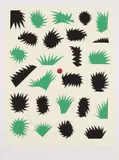 Robert Jacks, Lake Eyre Garden, 2001, screenprint P/P