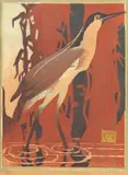Murray Griffin, Nankeen Night Heron, 1932, colour linocut 16/21