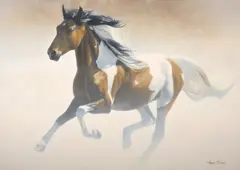 Lawrence Starkey, Out of the Mist (American Paint Horse), oil on canvas