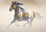 Lawrence Starkey, Out of the Mist (American Paint Horse), oil on canvas