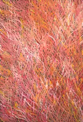 Barbara Weir, Grass Seed Dreaming, 1998, synthetic polymer paint on linen
