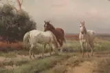 Jan Hendrik Scheltema, Horses