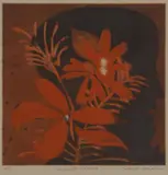 Charles Blackman, Bouquet Orange, coloured etching 16/30