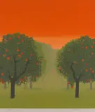 Anne Graham, Orange Grove