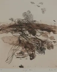 Philip Hunter, Large Plain 1, 2005, etching S/P