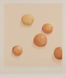 Tim Storrier, Lunch Day Fruit, 1979, screenprint 6/90
