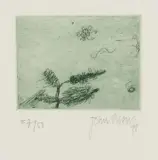 John Olsen, (Spring in the Valley), 1978, etching 37/50
