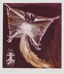 Frank Hodgkinson, Sugar Glider, 1992, etching 5/50