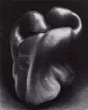 Edward Weston, Pepper