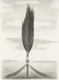 Rosslynd Piggott, Tree with Portrait, 1988, charcoal on paper