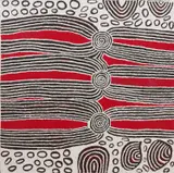 Ningura Napurrula, Untitled, acrylic on canvas