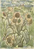 Mary Macqueen, Sunflowers, 1957, colour linocut