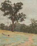 Jo Sweatman, Landscape